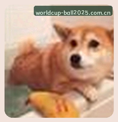 陈浩